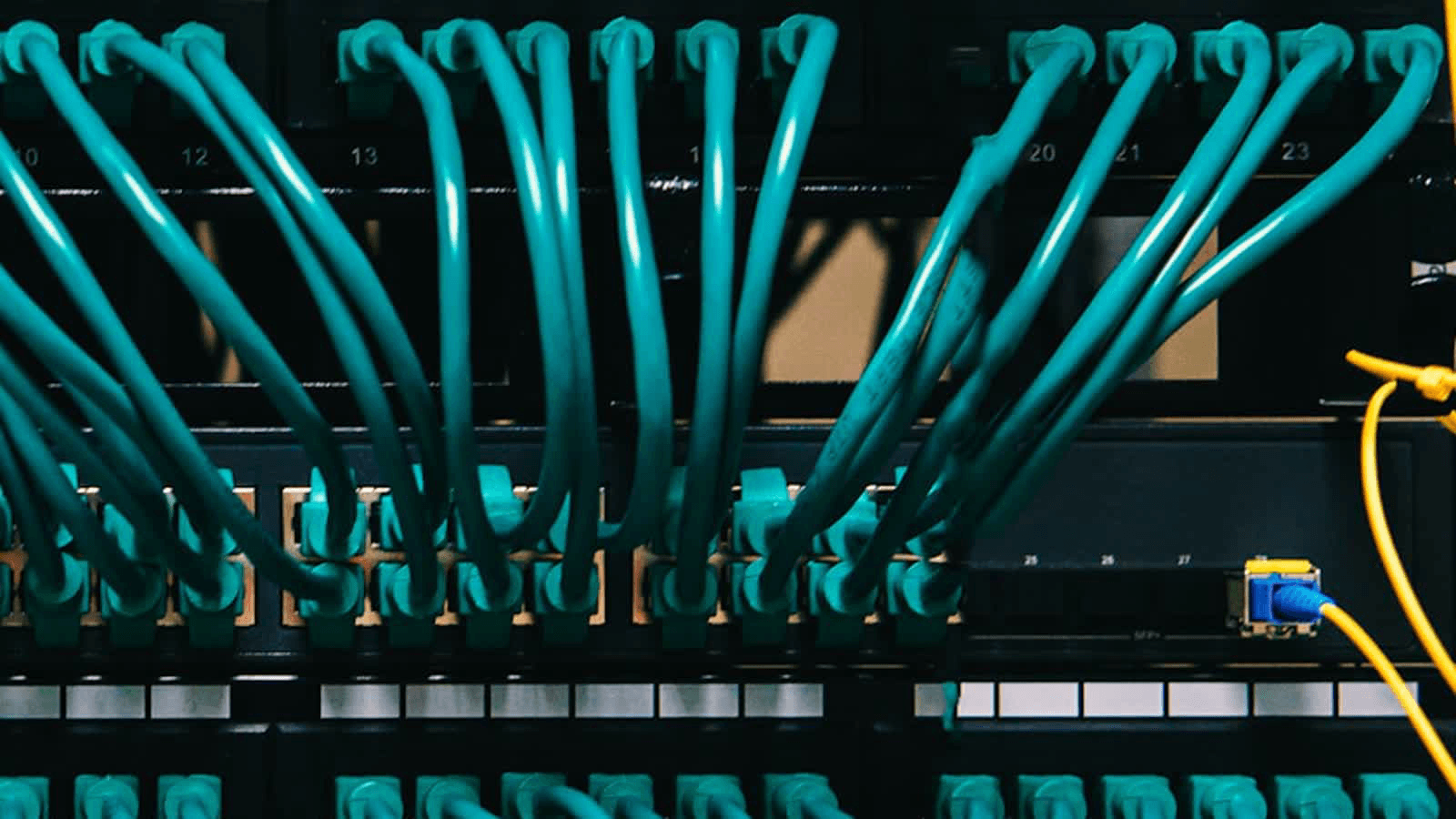 A close-up of network switch ports and patch cables in a small-business equipment rack.